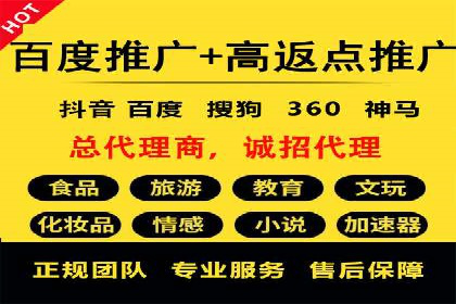 百度推广代理商成功案例：某行业巨头背后的推手
